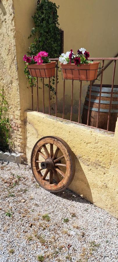 Maison d'hôtes Agriturismo Il Casale Grande à Beroide Extérieur photo